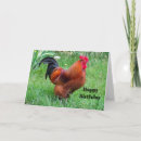 Search for rhode cards Chicken