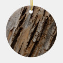 Search for bark ornaments Nature