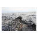 Search for slick posters Gulf of mexico