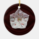 Recherche de laurier ornements Fleurs