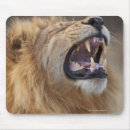 Search for botswana mousepads Outdoors