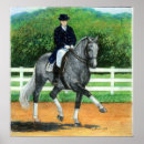 Search for warmblood Draught