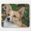 Search for handsome mousepads Pet