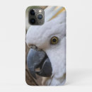 Search for australian birds electronics Parrot