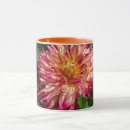 Search for chrysanthemum photography Fall