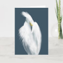 Search for blank nature cards Heron