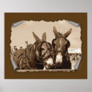 Search for mule decor Animals