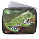 Search for frog laptop cases Colourful