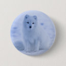 Search for arctic buttons Nature