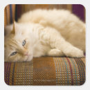 Recherche de canapé autocollants Intérieur