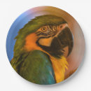 Search for parrot plates Party