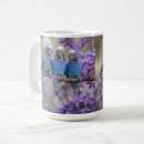 Search for budgie mugs Parrot
