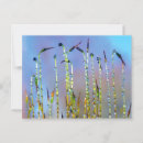 Search for dew drops postcards Green