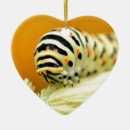 Search for caterpillar ornaments Butterfly
