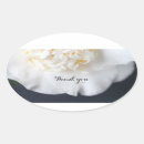 Search for camellia stickers Elegant