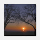 Search for tree envelope magnets Utah