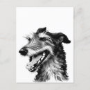 Search for cute irish postcards Dog