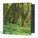 Search for preservation binders Environment