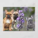 Search for geschenk postcards Postkarte