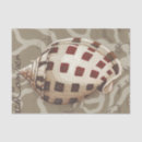 Search for ocean tissue paper Sea shell