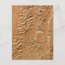 Search for reliefs postcards Shown