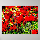 Search for red poppies posters Plants
