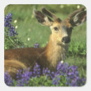 Search for peace animals stickers Deer