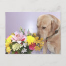 Recherche de odeurs cartes postales Fleurs
