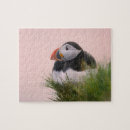Recherche de puffin puzzles Île