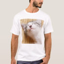 Recherche de courbe photographie Chat