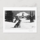 Search for timberline postcards Lodge