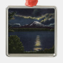 Search for washington ornaments Rainier