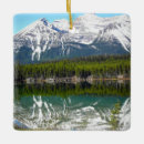 Search for reflection ornaments Alberta