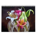 Recherche de fleur de lys calendriers Jardin