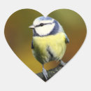 Search for little birds stickers Nature