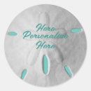 Search for sand dollar stickers Turquoise