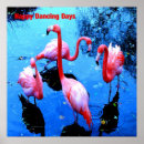 Recherche de danse photographie posters Oiseaux