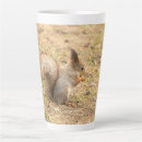 Search for cute squirrels mugs Nature
