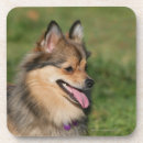 Recherche de spitz dessous de verres Chien