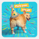 Search for cute corgi stickers Dog