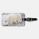 Search for carnivorous accessories Arctic