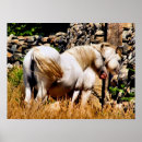 Search for pony posters Ponies