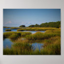 Search for marsh art Water