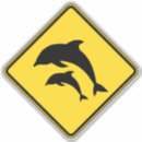 Search for beach life stickers Dolphin