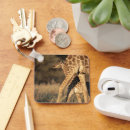 Search for baby giraffe keychains Wildlife