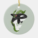 Search for killer whale ornaments Marine mammal