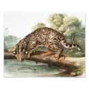 Recherche de felix le chat posters Vintage
