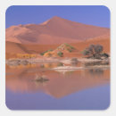 Recherche de dunes de sable autocollants Désert