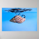 Search for drop of water posters Blue