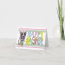 Search for easter boxer Colourful